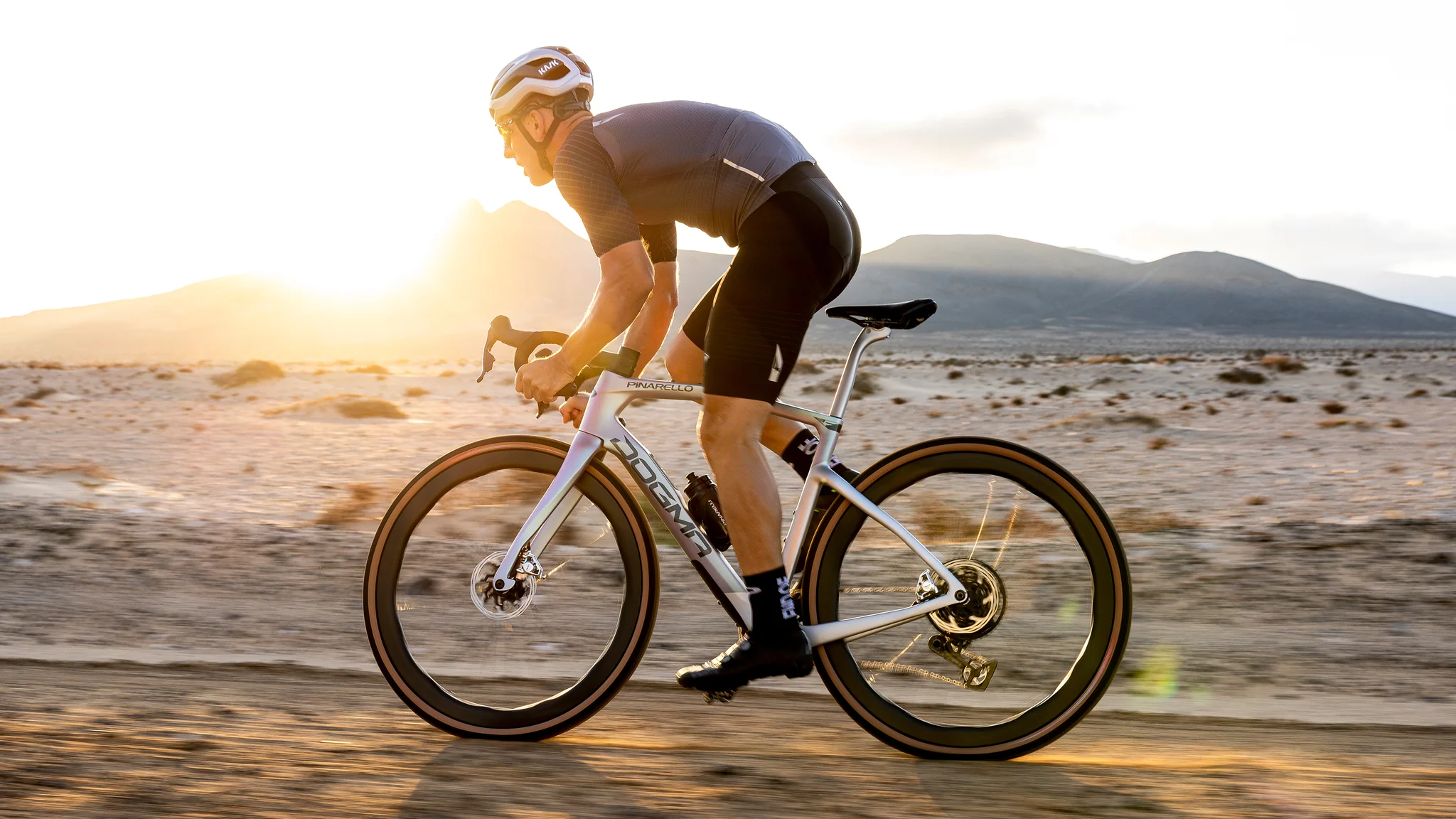 home-desktop_05a81692-ef09-468d-8fd1-497fb5c9f90b_1024x1024@2x