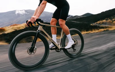 BASSO PALTA 3 NOW ONLINE